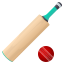 :cricket_game: