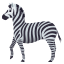 :zebra: