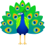 :peacock: