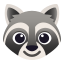 :raccoon: