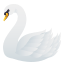 :swan: