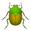 :beetle: