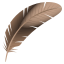 :feather: